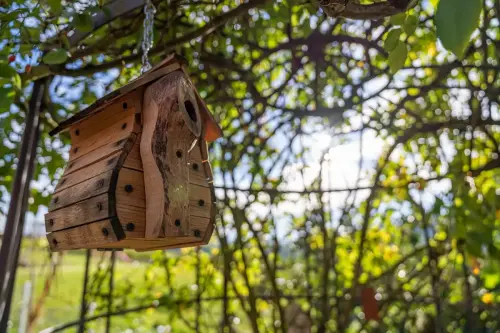 Freiraum BB von Schmucker Freiraumplanung 10 -12